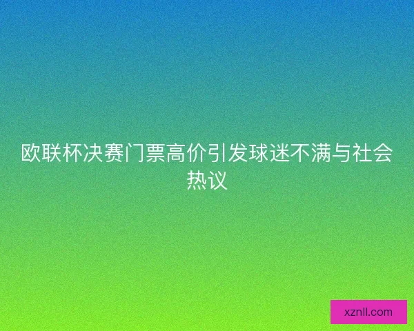 欧联杯决赛门票高价引发球迷不满与社会热议